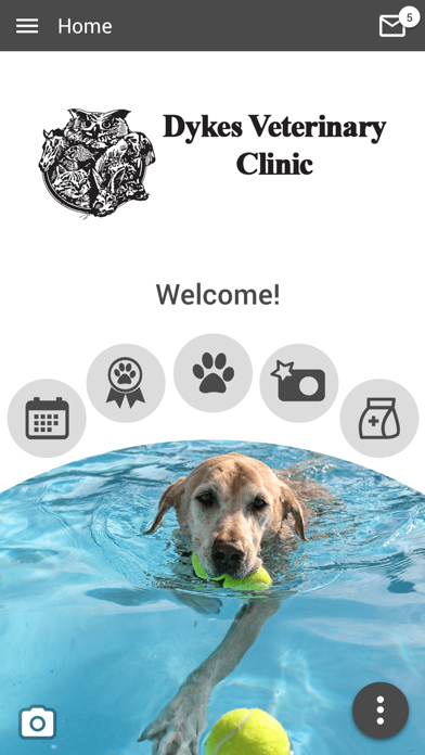 Dykes Veterinary Clinic Screenshot