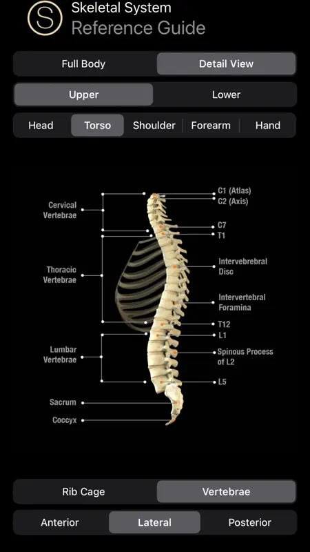 Skeleton Study Guide screenshot 7 of 10