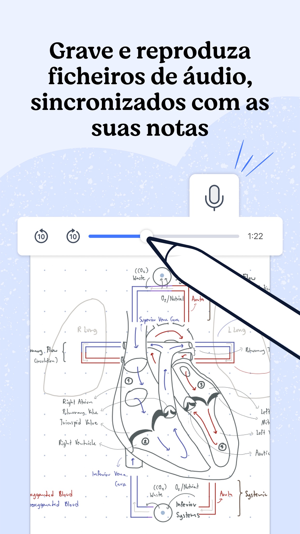 Screenshot do app Notability: Notes, PDF