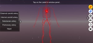 Circulatory system screenshot #6 for iPhone