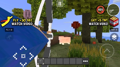 Screenshot #1 pour World Craft HD