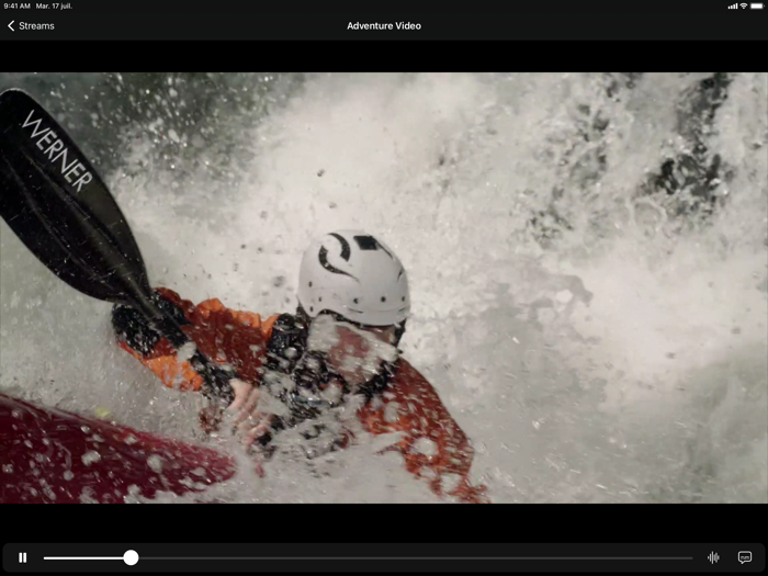 HLS Multitrack Player