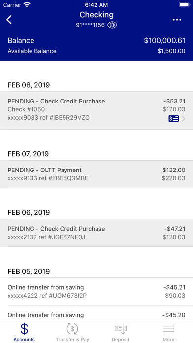 Falls City National Bank Screenshot