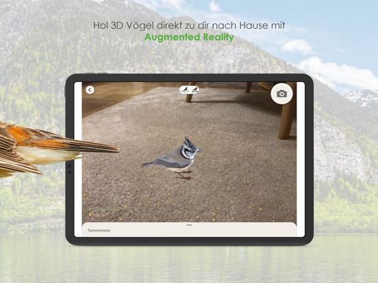 Screenshot #6 pour Vögel in Österreich