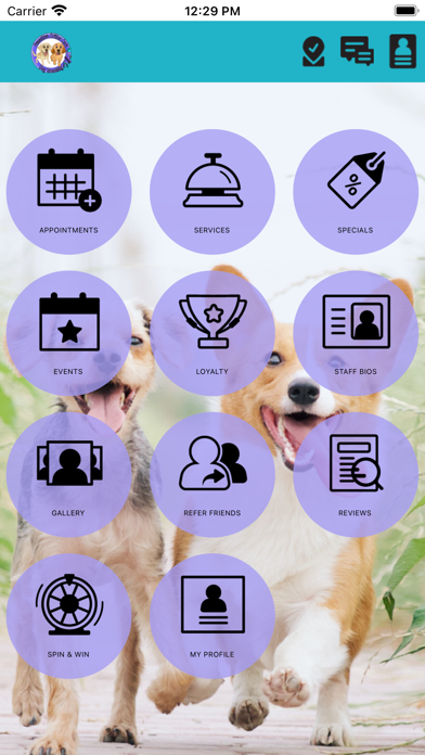 Pawsitive Critter Care Screenshot