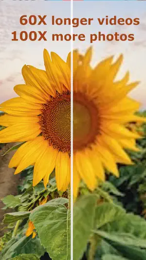 Lo-Fi Cam screenshot 1
