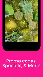 candied fruit fairy iphone screenshot 4