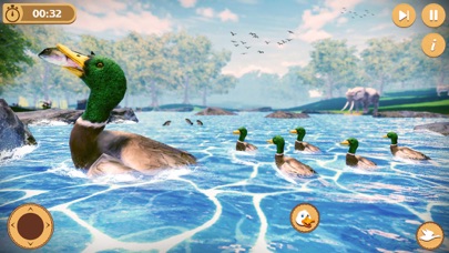 Virtual Duck Life Simulator Screenshot