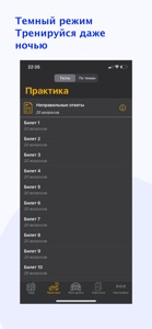 Правила дорожного движения РФ screenshot #8 for iPhone