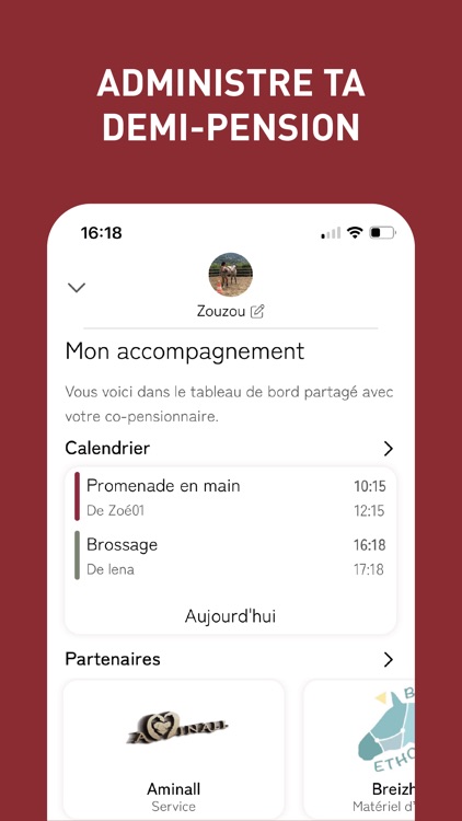 HorseSinergia screenshot-5