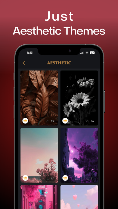 Aesthetic Wallpapers & Themes Screenshot