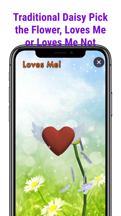 Loves Me, Loves Me Not Test Screenshot