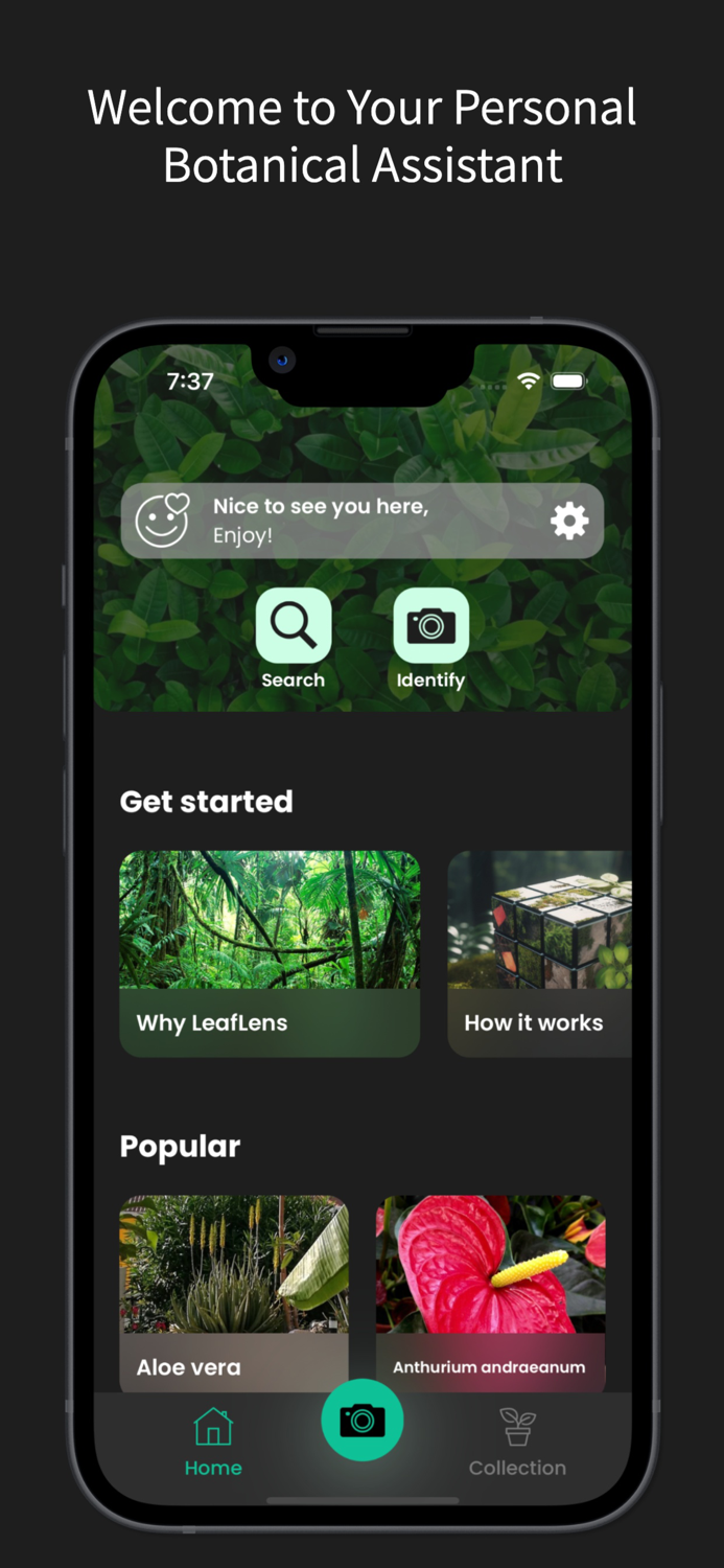 Plant identifier - LeafLens