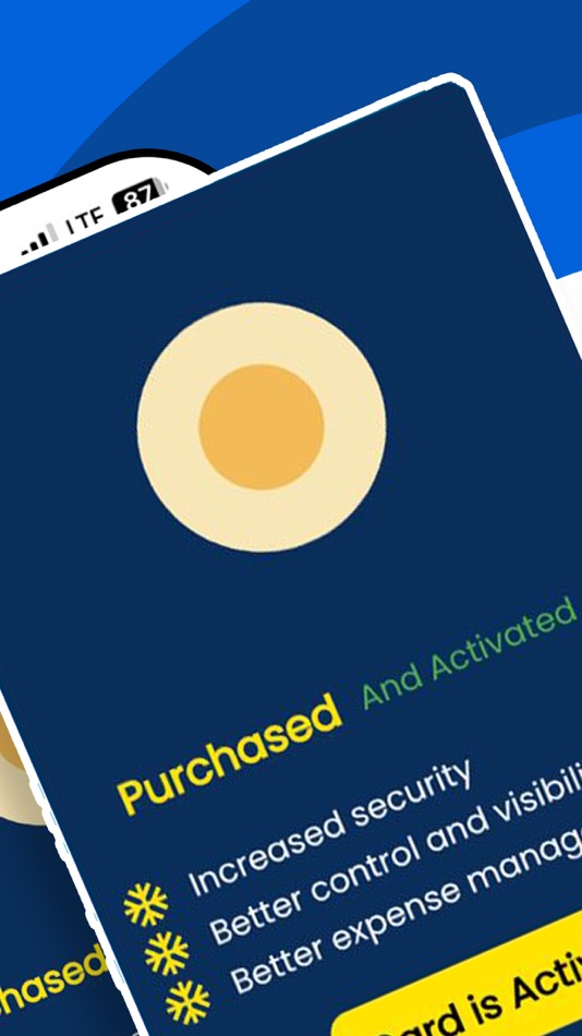 #3. Blink Pay App (iOS) 由: VOOS TECHNOLOGIES COMPANY LTD