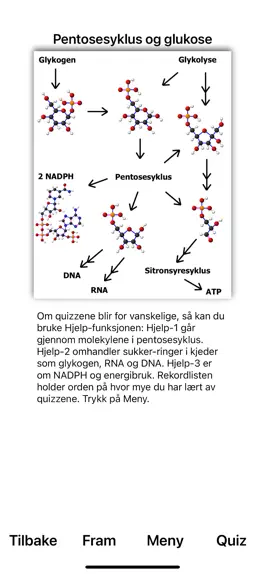 Game screenshot Pentosesyklus mod apk