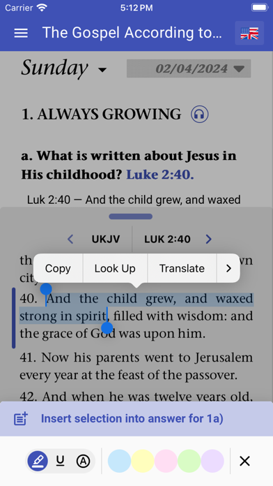 Sabbath Bible Lessons Screenshot