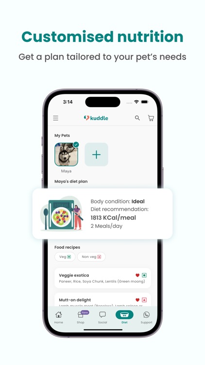 Kuddle | Dog Grooming,Training screenshot-8