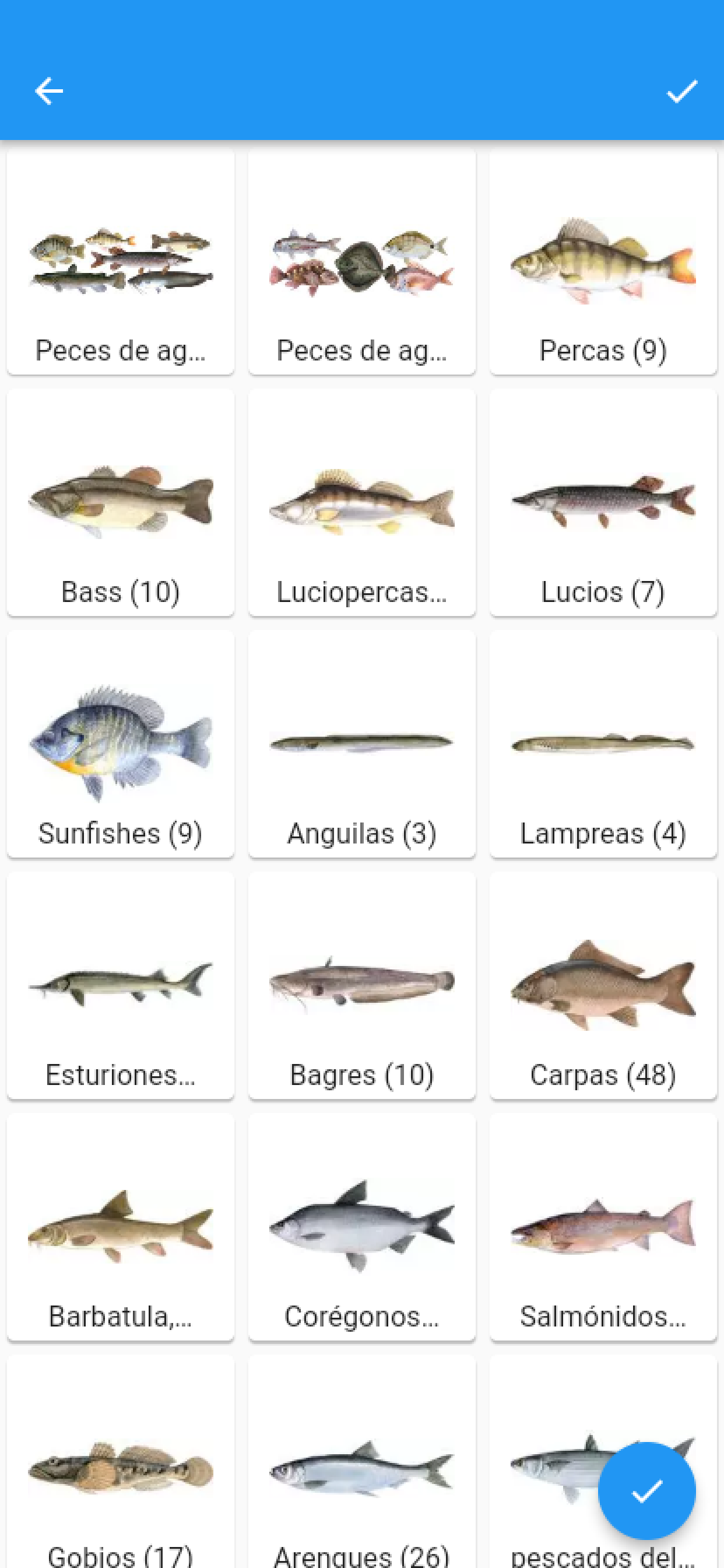 Relojes Para Los Pescadores