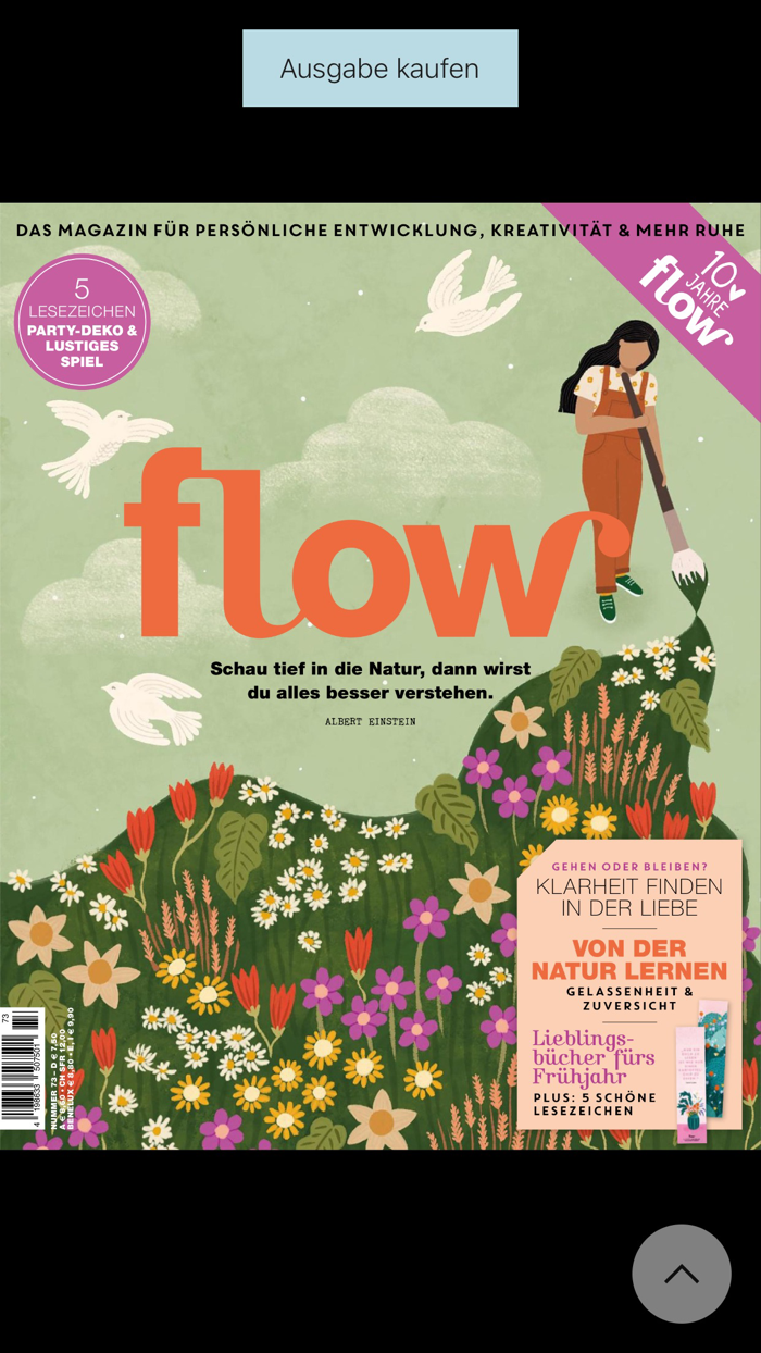 Flow Magazin
