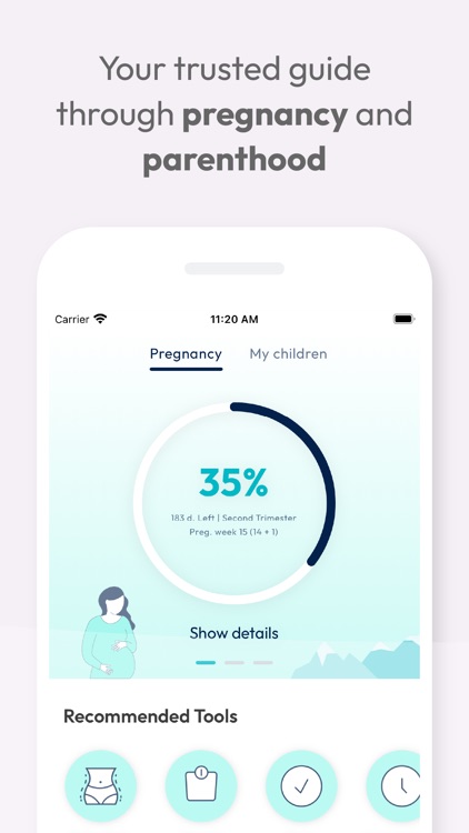 Nørs - Cycle and Pregnancy