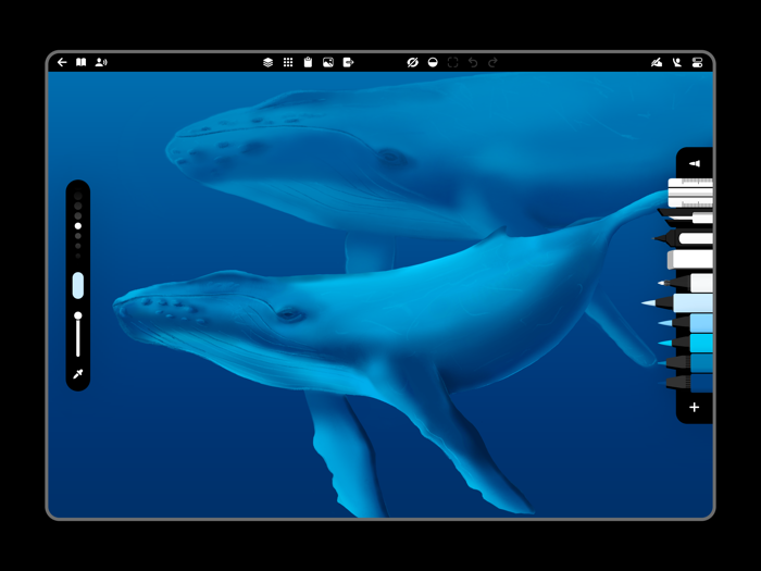 Flow Sketch Draw Take Notes