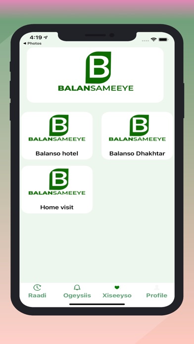 Balansameeye Screenshot