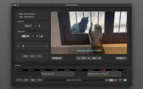 video label iphone resimleri 2