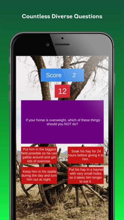 Horse Trivia Challenge