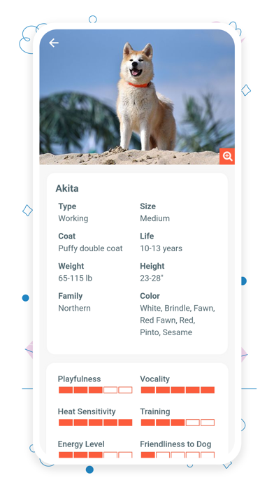 Pets Adoption - Adopt a Pet Screenshot