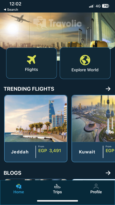 Travolic Cheap Flights Tickets Screenshot