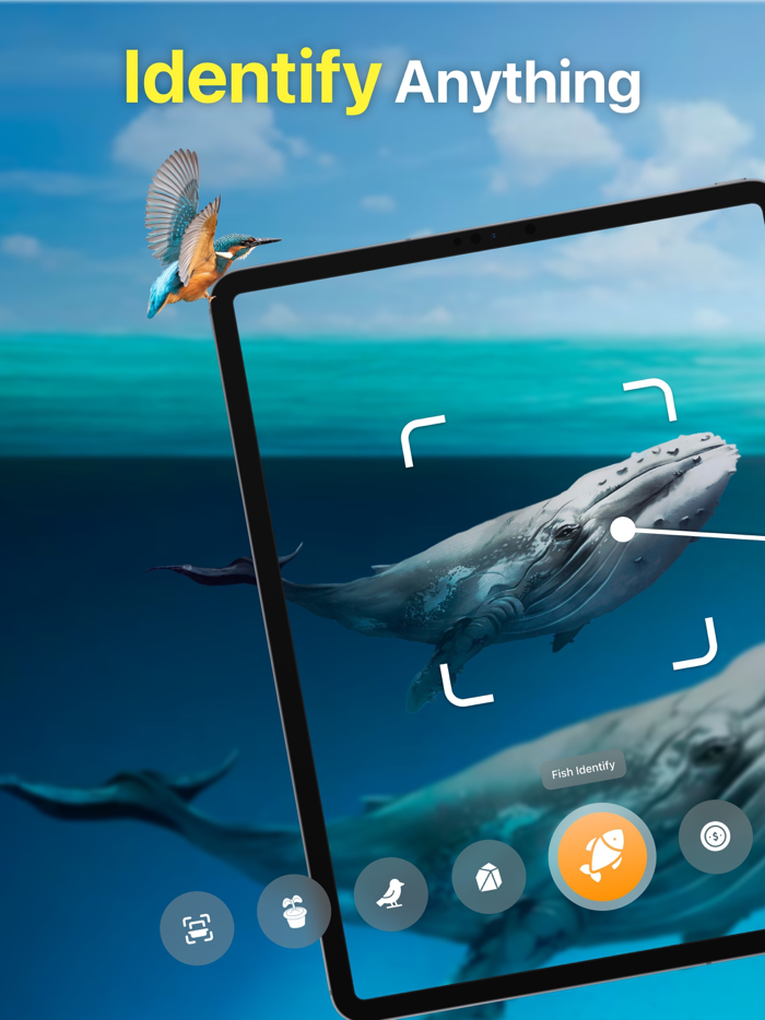 Identify Anything AI Scanner