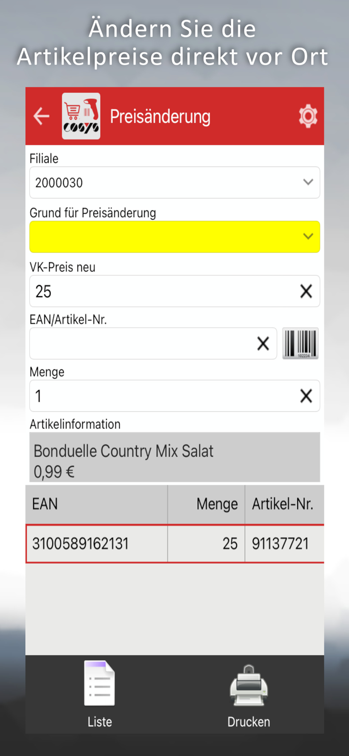 COSYS POS Food Retail