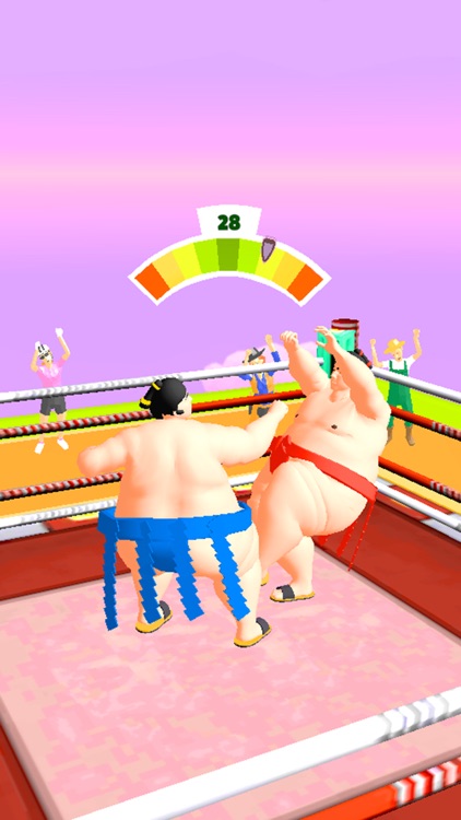 Sumo Fight 3D