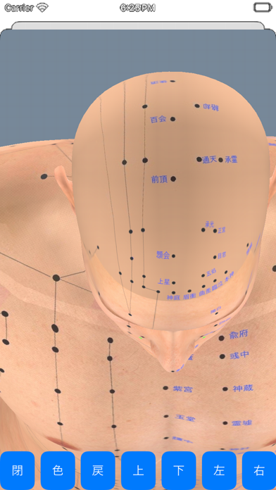 経絡ツボ3Dのおすすめ画像4