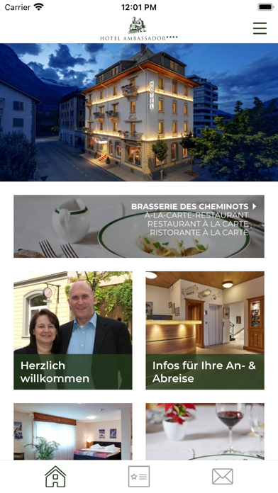 Hotel Ambassador Brig Screenshot