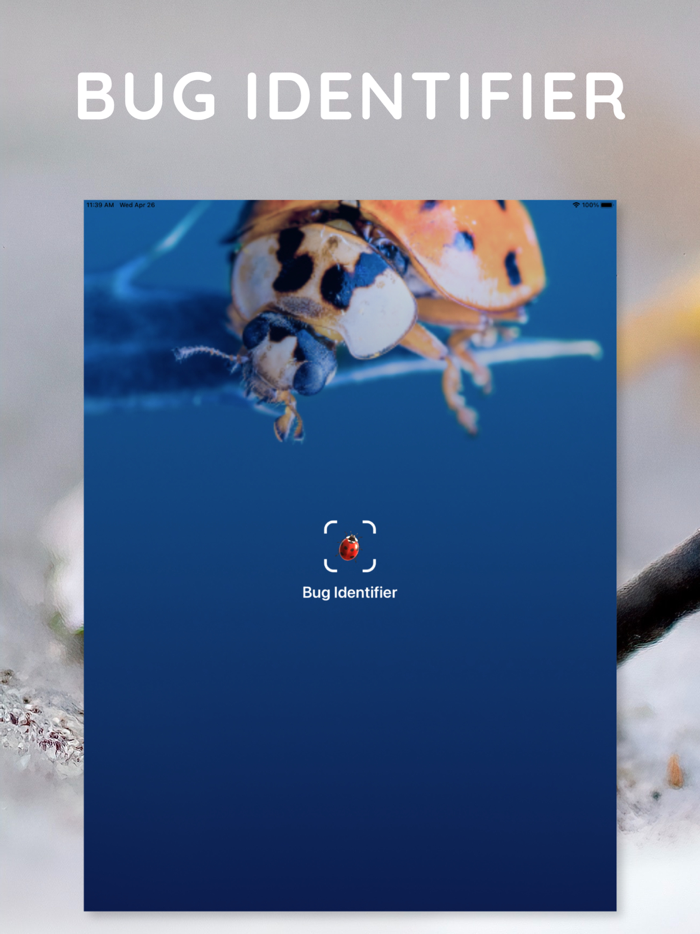 AI Photo App - Bug Identifier
