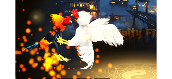 Rooster Battle-Chicken Fight