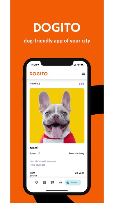 Dogito Screenshot