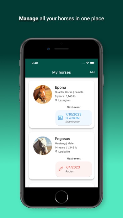 Horsefy Screenshot