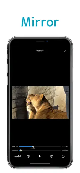 Game screenshot Motion Player - Mirror & slow apk