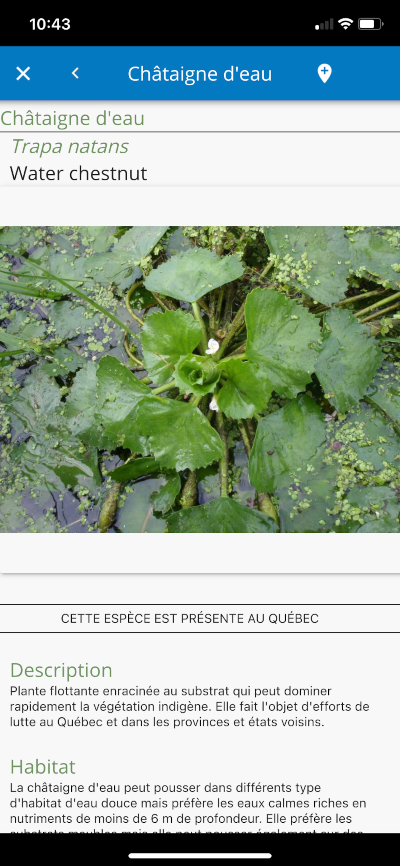 Sentinelle