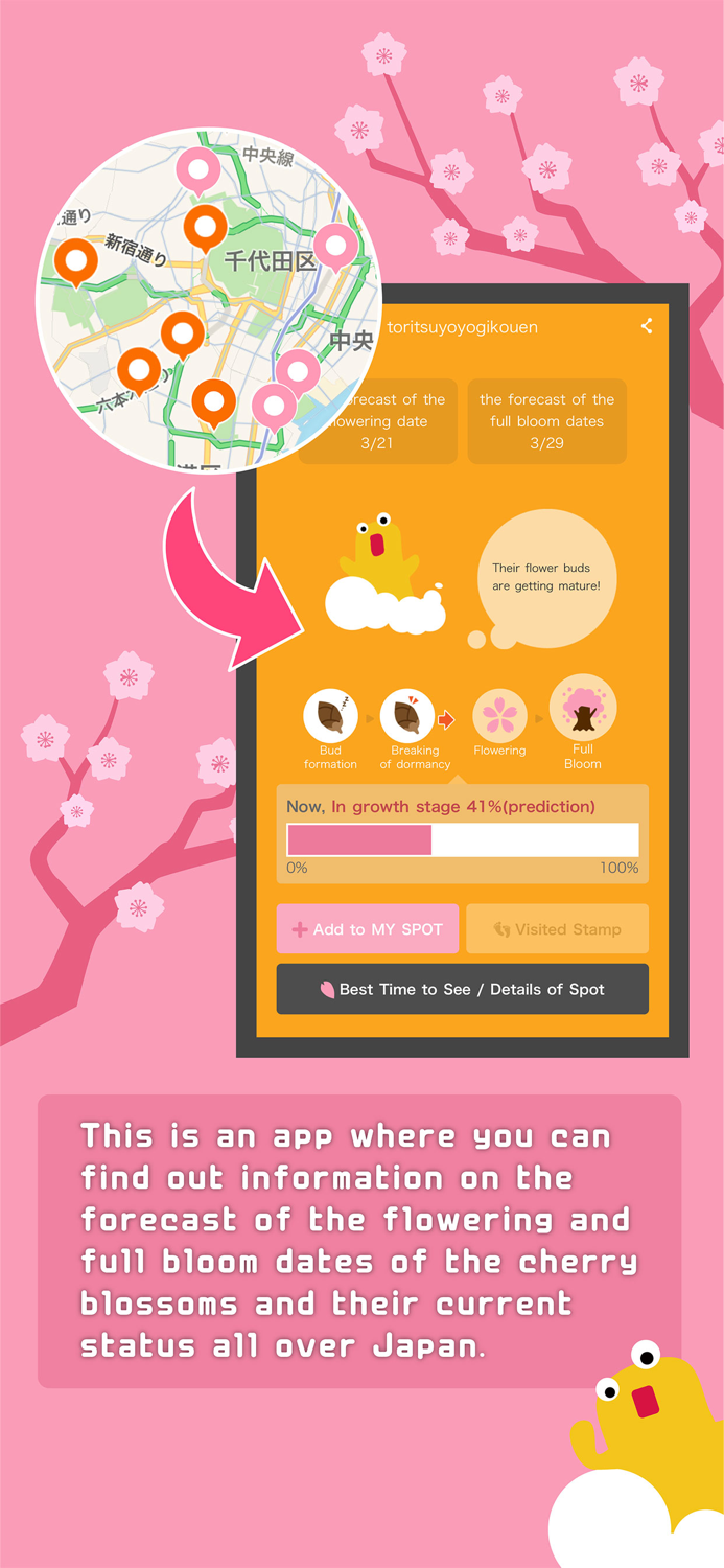 Sakura Navi - Forecast in 2024