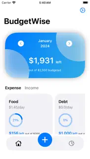 budgetwise+ iphone screenshot 1
