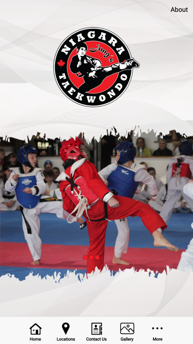Jungs Niagara Taekwondo Screenshot