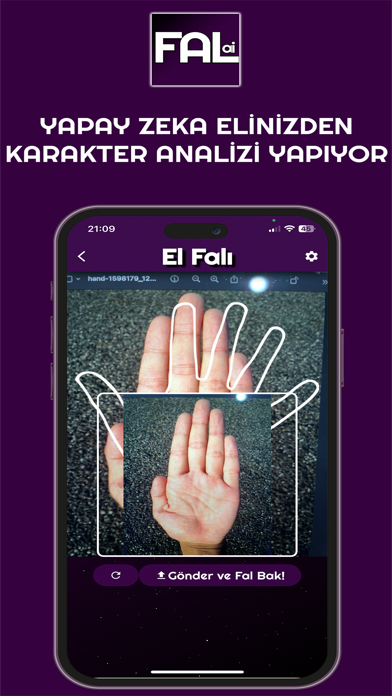 FALAi Screenshot