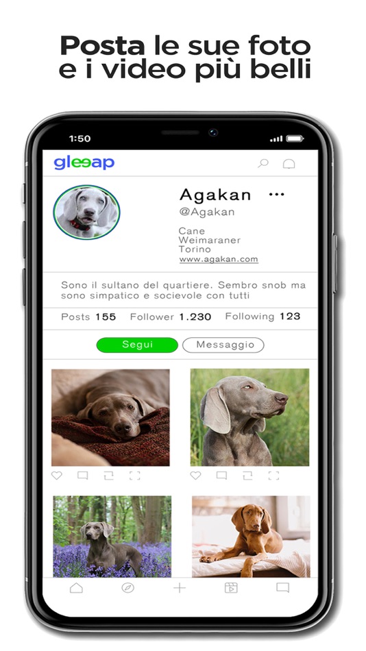 #4. Gleeap - The pet social (iOS) By: Gianluca De bortoli