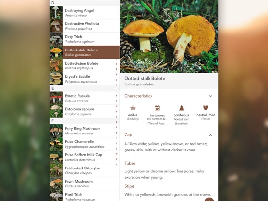 Mushrooms PRO - Hunting Safe iPad app afbeelding 3