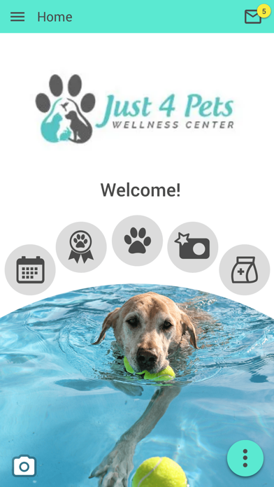 Just 4 Pets Wellness Center Screenshot