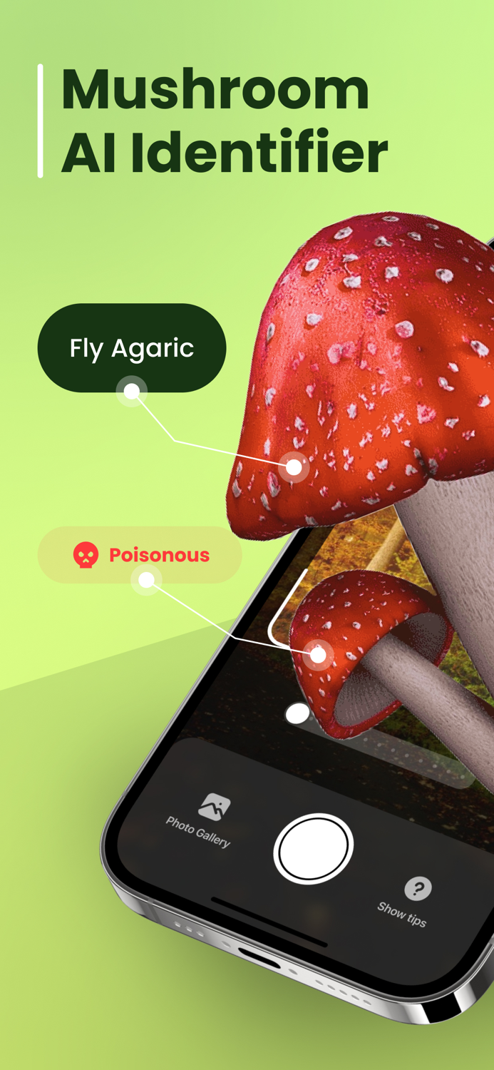 Mushroom Identifier Fungi ID