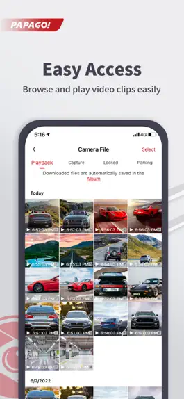 Game screenshot PAPAGO Focus hack